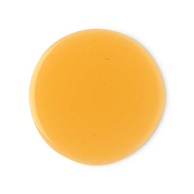 Cynthia Sylvia Stout Shampoo