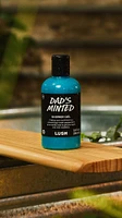 Dad's Minted Shower Gel