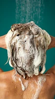 Shampooing Ginger