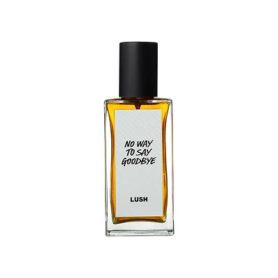 Parfum No Way To Say Goodbye