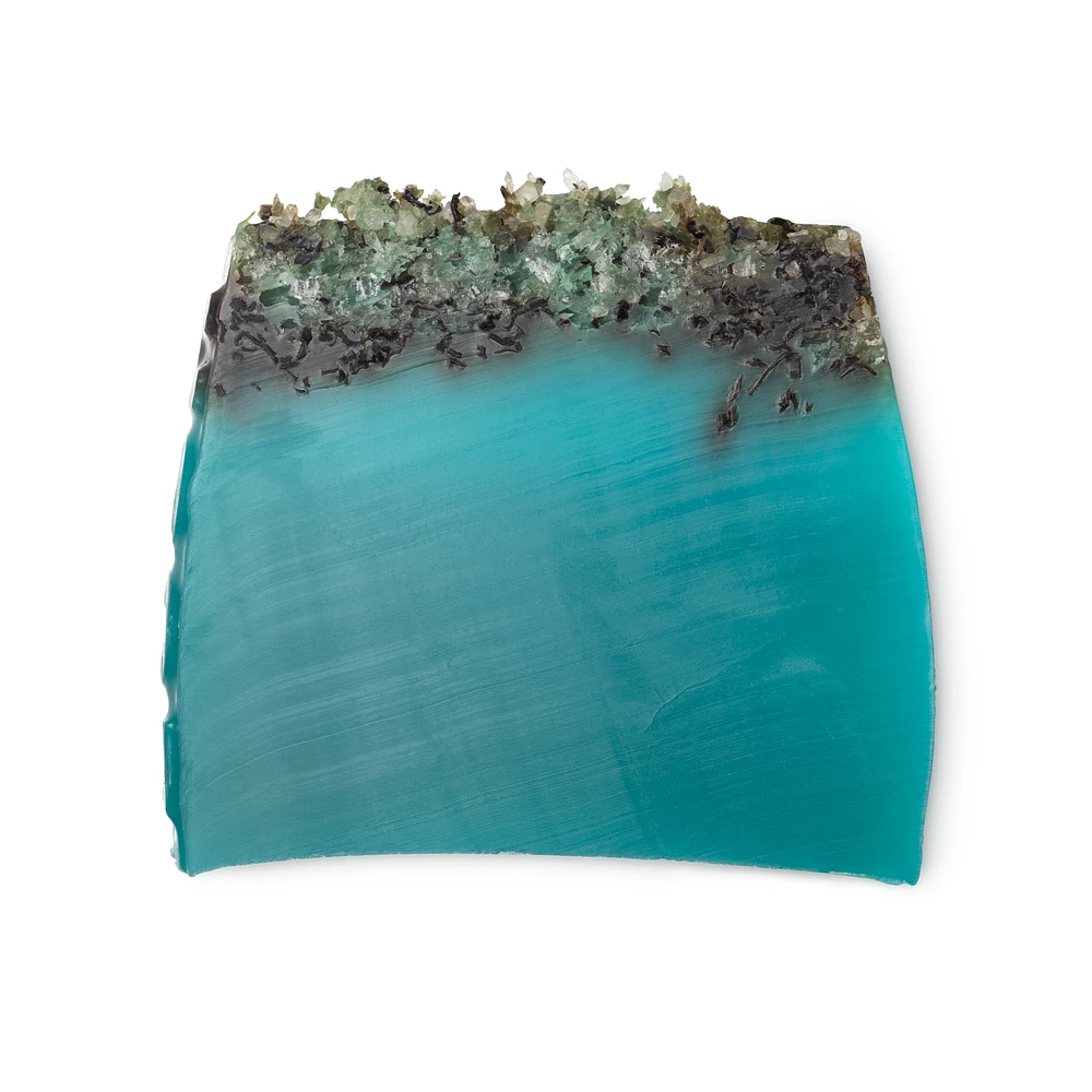 Sea Vegetable | Soap