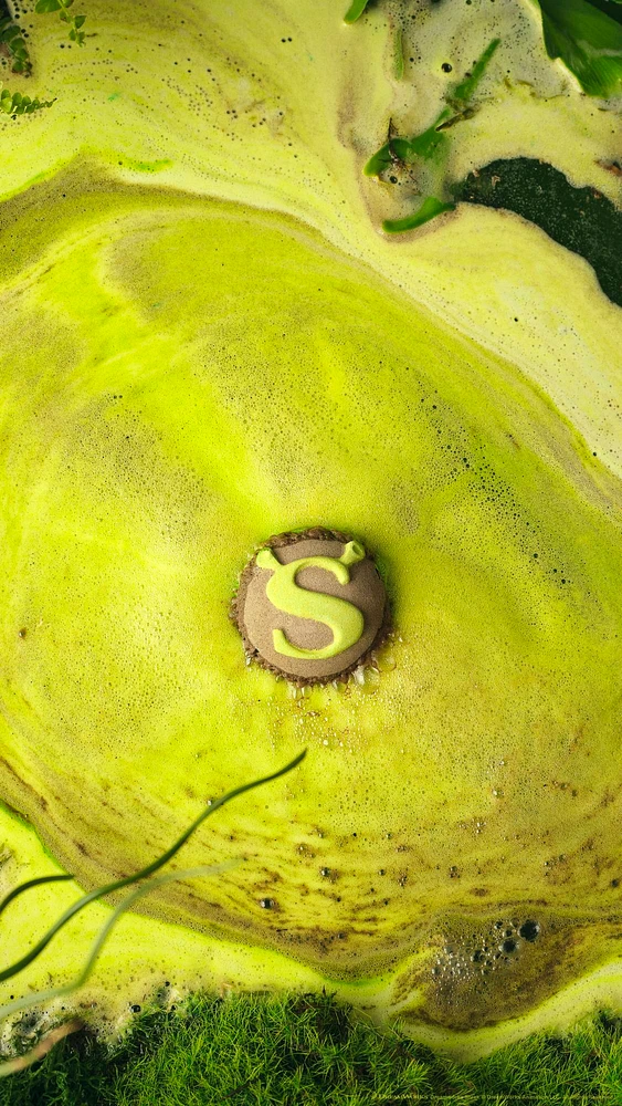 Shrek Swamp