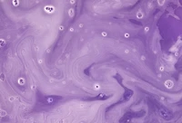 Siraj Bath Bomb
