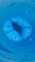 Sukoon Bath Bomb
