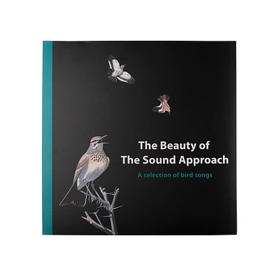 The Beauty Of The Sound Approach Vinyl With USB