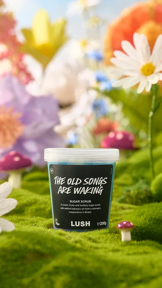 The Old Songs Are Waking Body Scrub