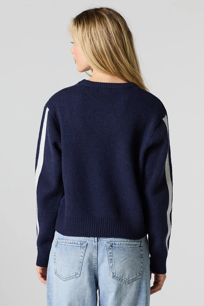 Striped Sleeve Jacquard Knit Sweater