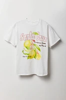 Santa Cruz Graphic Boyfriend T-Shirt