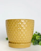 Honeycomb Plant Pot