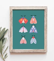 Moth Illustration Art Print