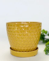 Honeycomb Plant Pot