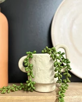 Crissy Plant Pot