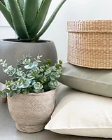 Canvas Pillow- Sage