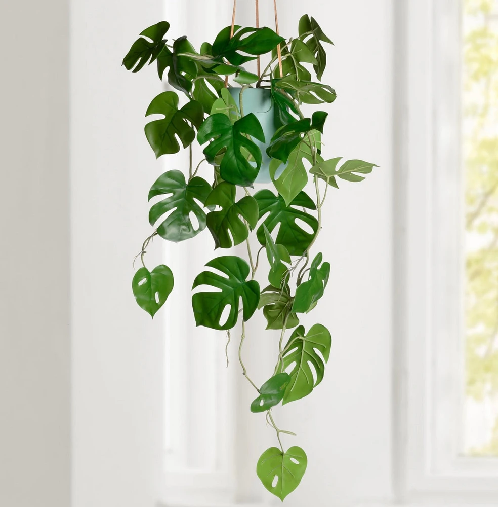 Hanging Faux Monstera