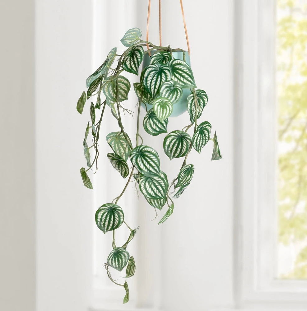 Variegated Faux Leaf Vine Spray