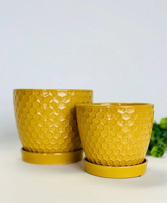 Honeycomb Plant Pot