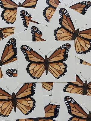 Monarch Butterfly Art Print