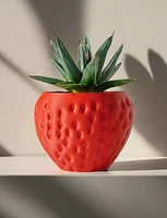 Strawberry Plant Pot