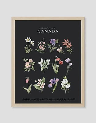 Official Flowers of Canada Art Print