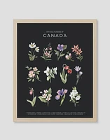 Official Flowers of Canada Art Print