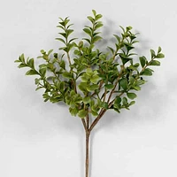 Forsythe Boxwood Pick