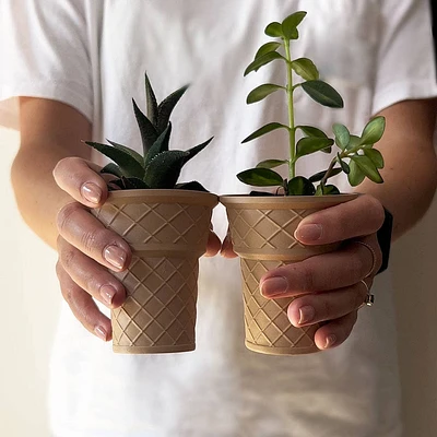 Kiddy Cone Plant Pot