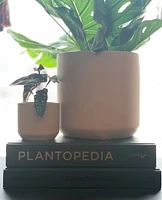 Plantopedia