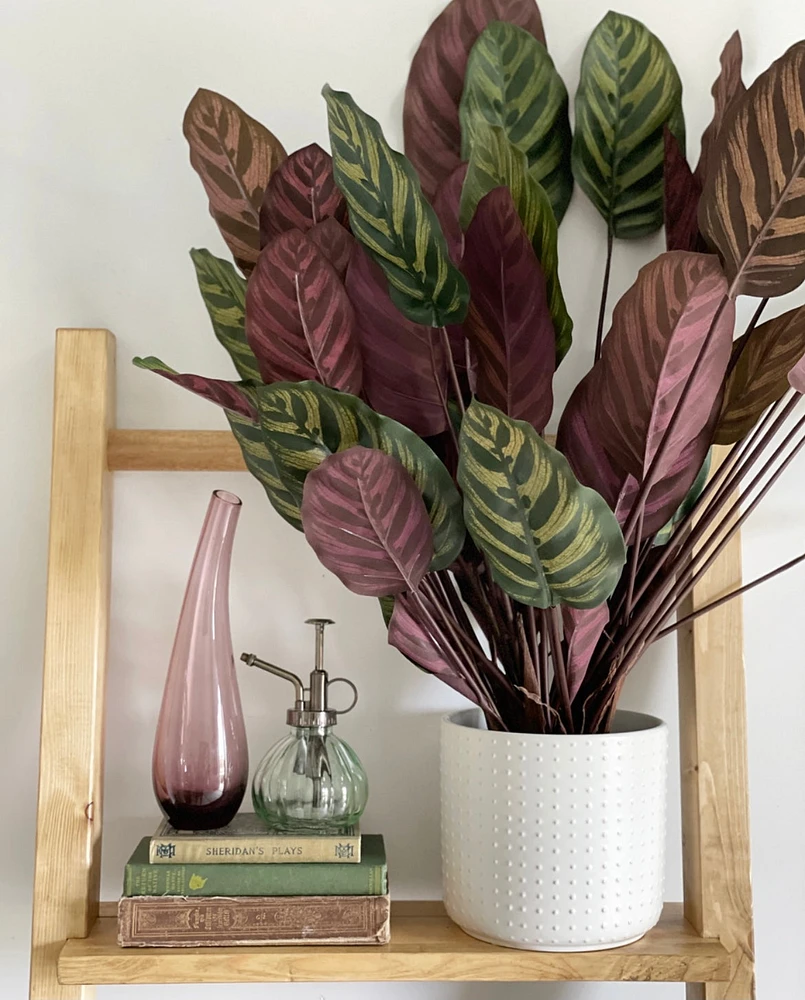 Faux Calathea Makoyana Potted Plant