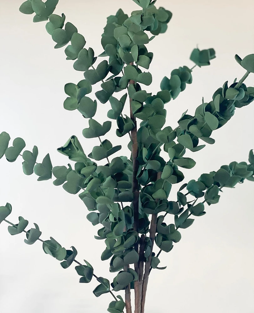 Dark Eucalyptus Stems