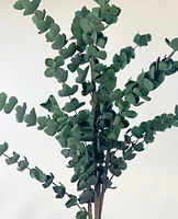 Dark Eucalyptus Stems