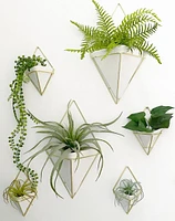 Trigg Wall Planters