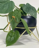 Potsy Plant Pot -Single