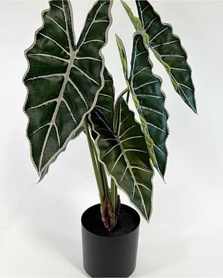 Faux Potted Alocasia