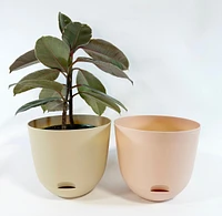 Pey Plant Pots