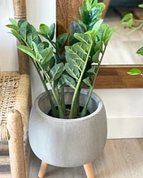 Faux Potted ZZ Plant