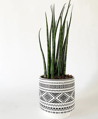 Dean Plant Pot