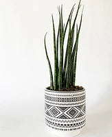 Dean Plant Pot