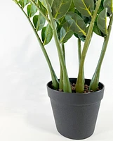 Faux Potted ZZ Plant