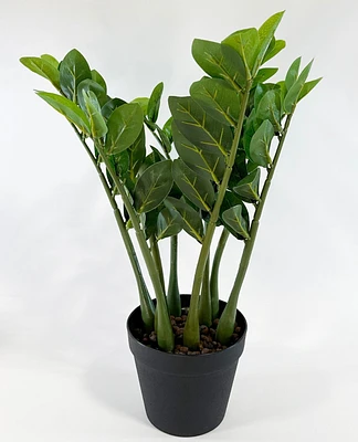 Faux Potted ZZ Plant