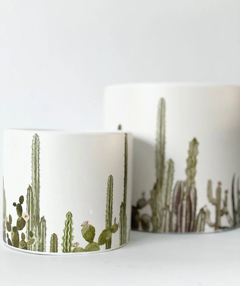 Cacti Pots