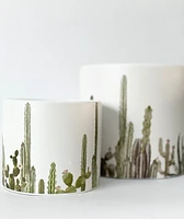 Cacti Pots