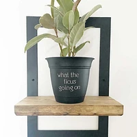 Potted 6" Plant Pots