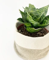 Rustic Linen Small Planter