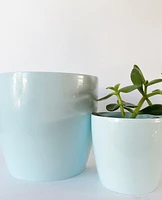 Madeirar Pastel Pot Collection