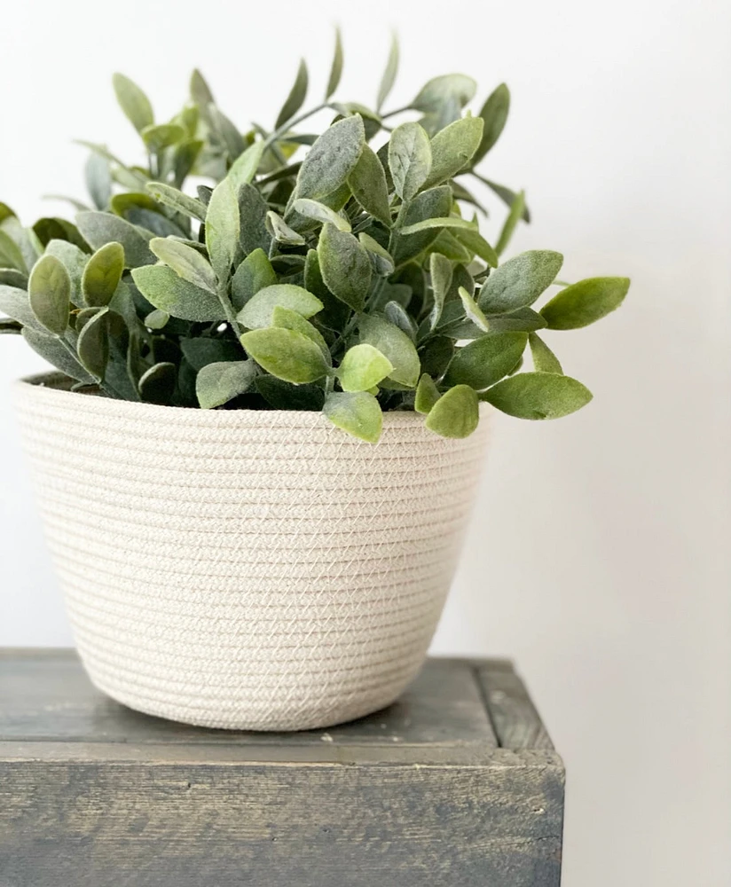 4” Plant Basket/Catchall