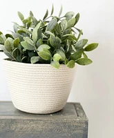 4” Plant Basket/Catchall