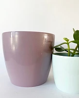 Madeirar Pastel Pot Collection