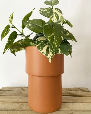 Vermillion Cylinder Pot