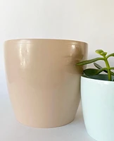 Madeirar Pastel Pot Collection