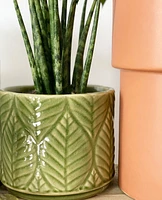 Green Leaf Plant Pot